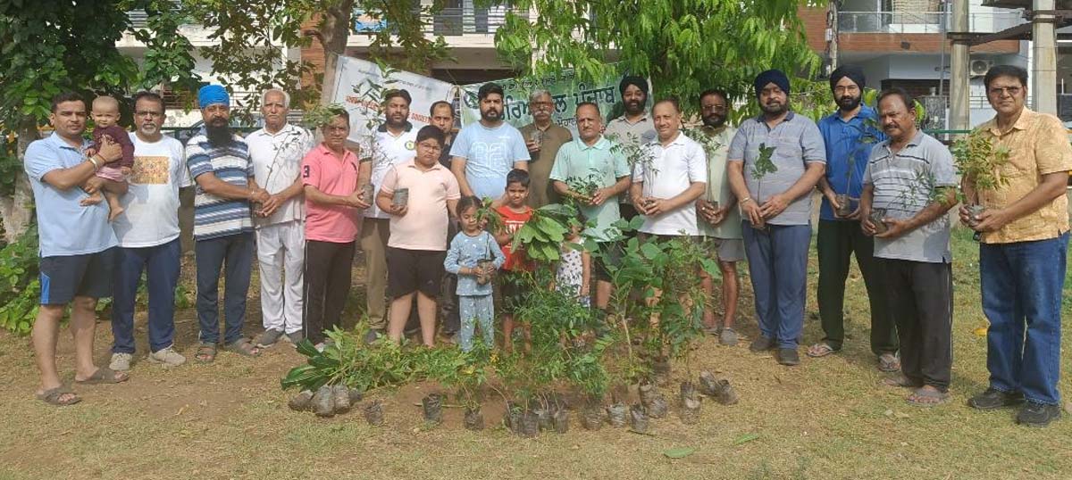 Neem, Arjun, Parrot, and Lemon Trees Planted